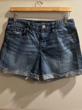 Ann Taylor Loft Short